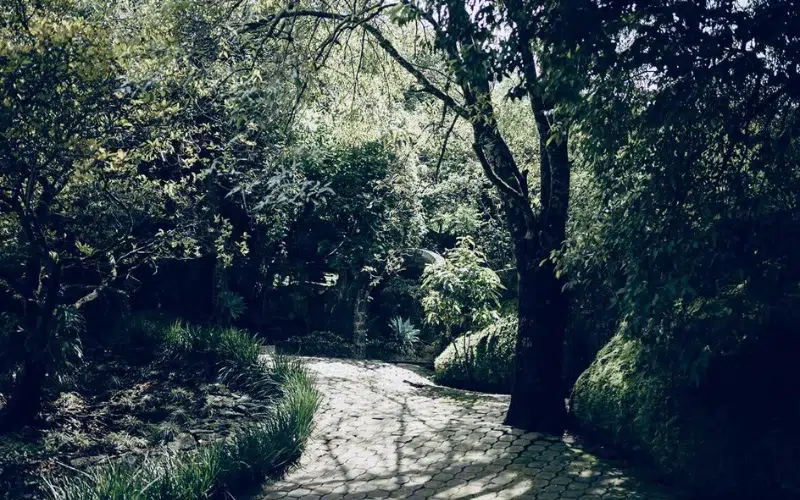 Jardines exuberantes en El Suspiro, Morelos, el escenario perfecto para bodas al aire libre.
